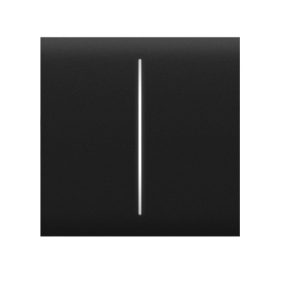 Ajax CENTERBUTTON 2GANG BLACK